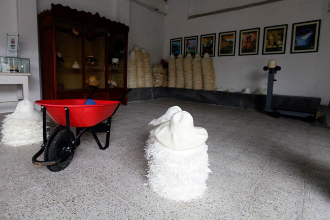 オメロオルテガ