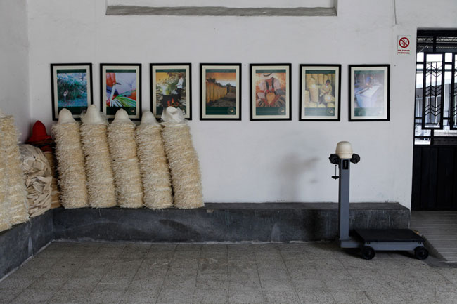 オメロオルテガ