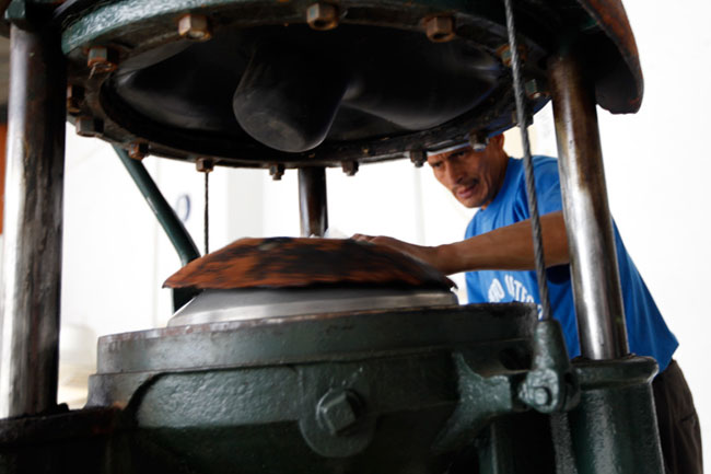 オメロオルテガ