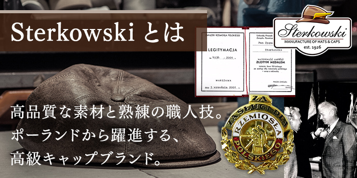 ステルコフスキーとは