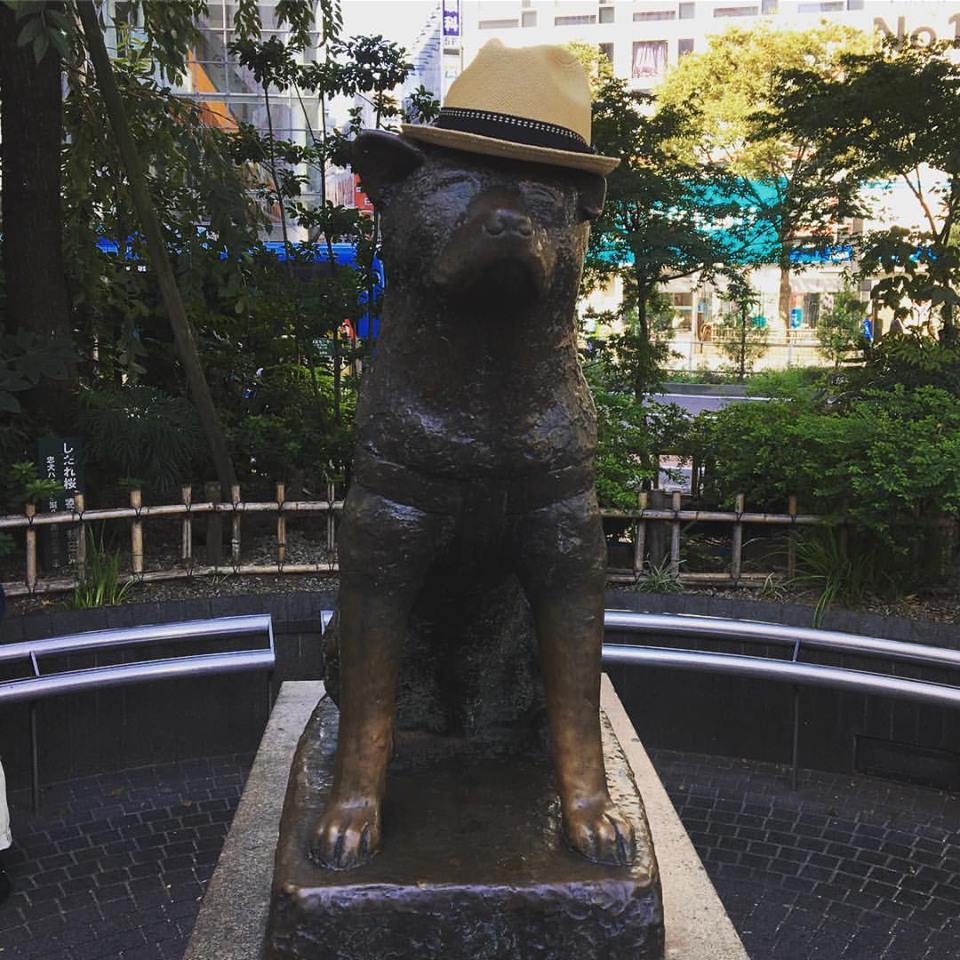 ビガリ