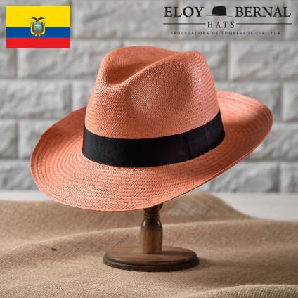 メディア掲載情報