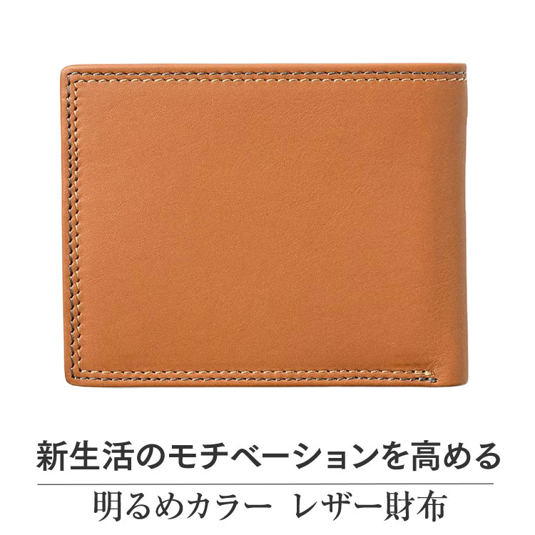 着用イメージ