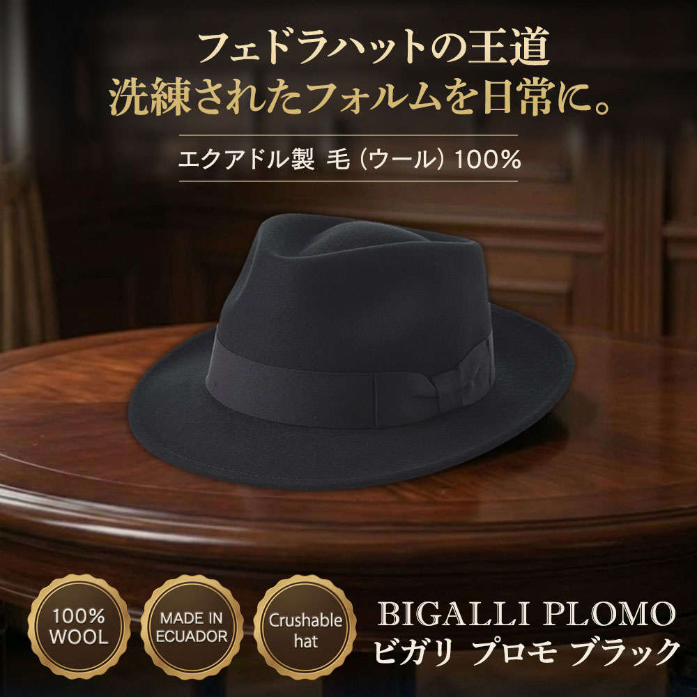 PLOMO（プロモ） 詳細