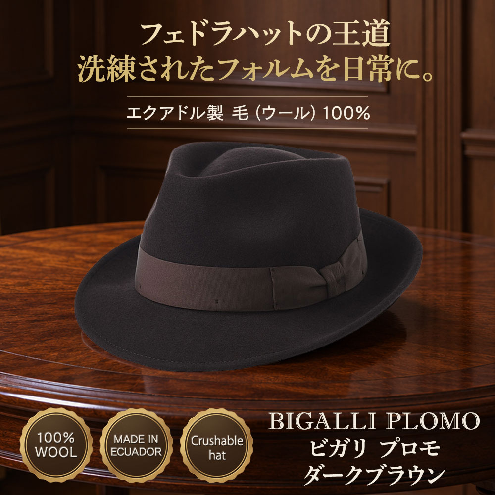 PLOMO（プロモ） 詳細