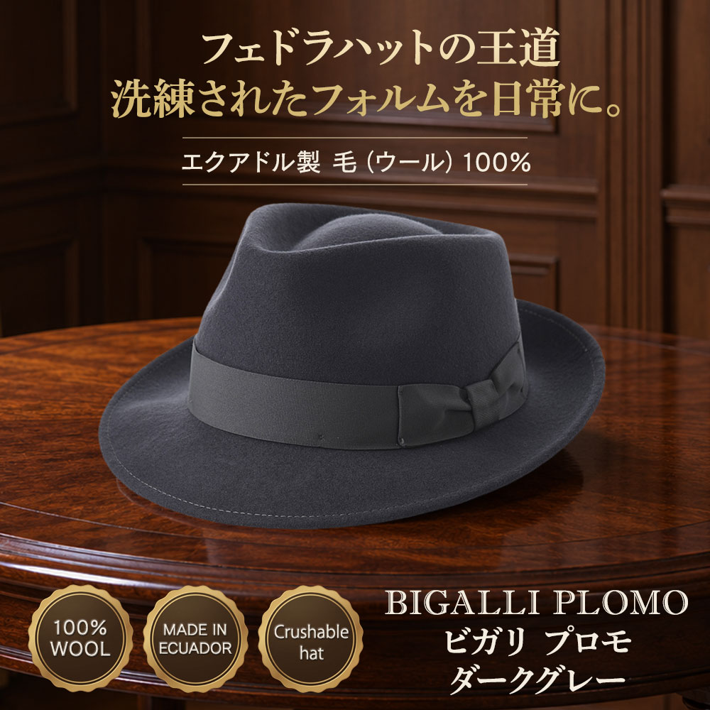 PLOMO（プロモ） 詳細