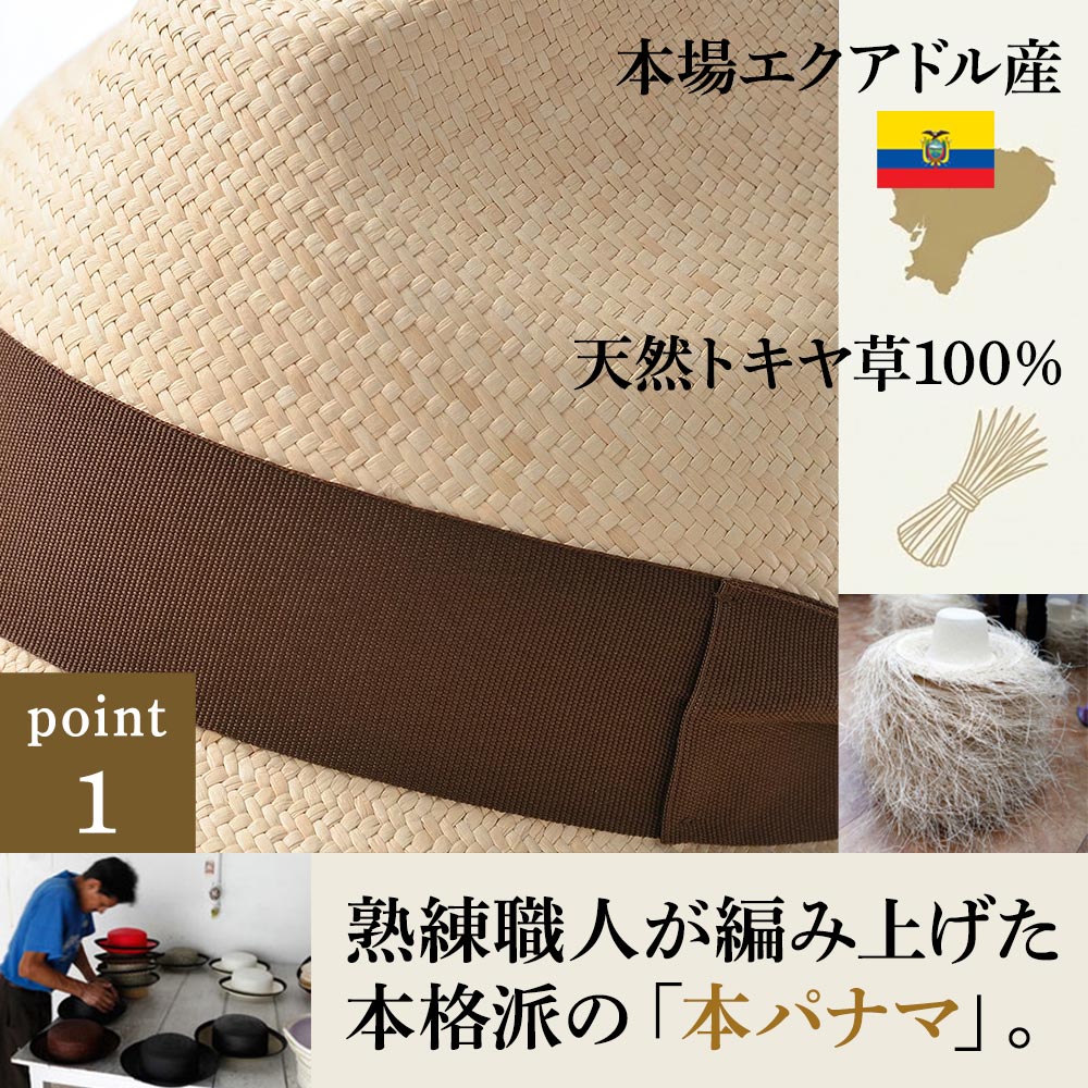 PRIMERA（プリメーラ） 詳細
