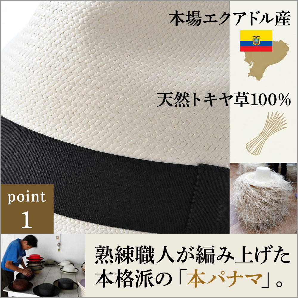 PRIMERA（プリメーラ） 詳細
