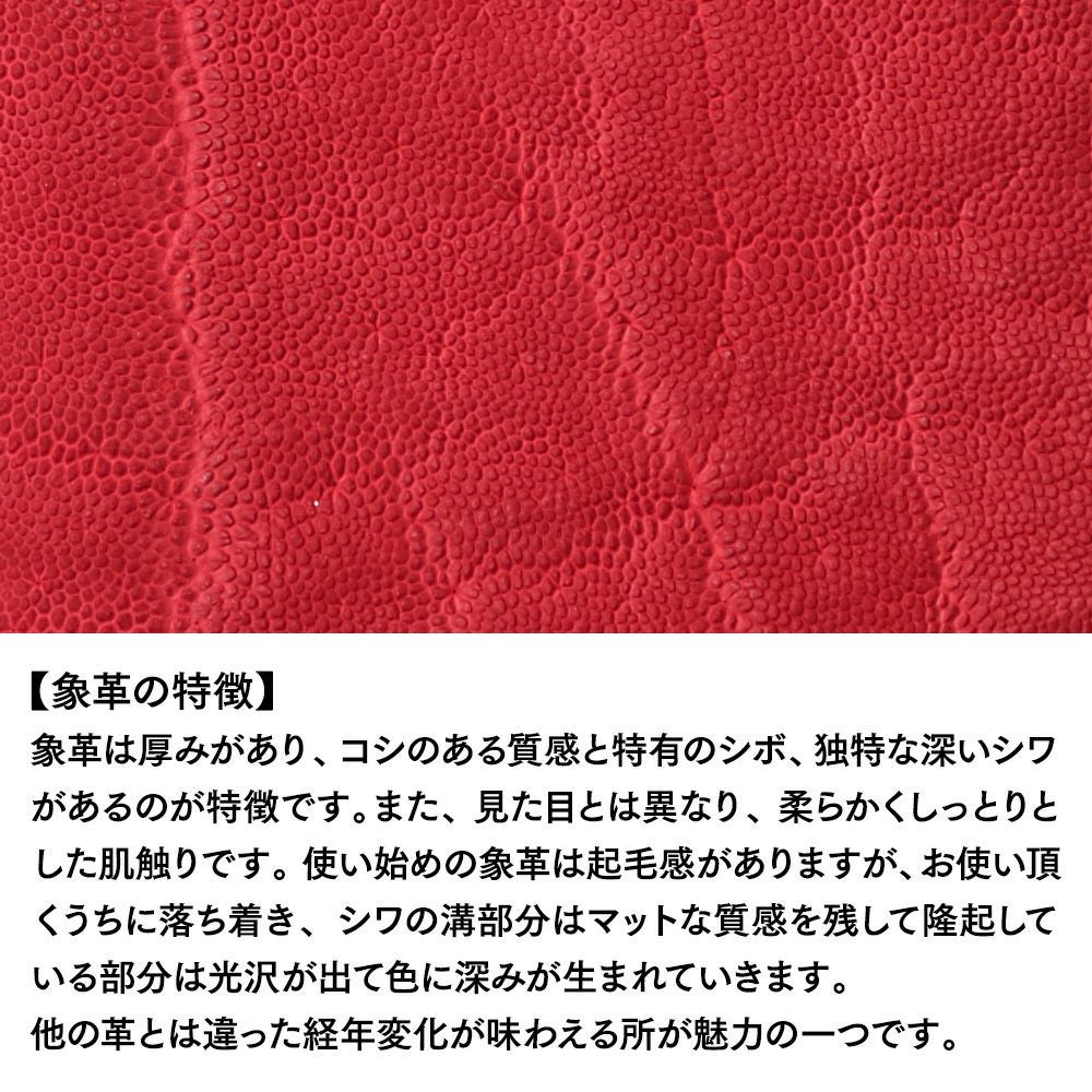 ズー 長財布 ELEPHANT Zip-around Long Wallet（エレファント ジップ