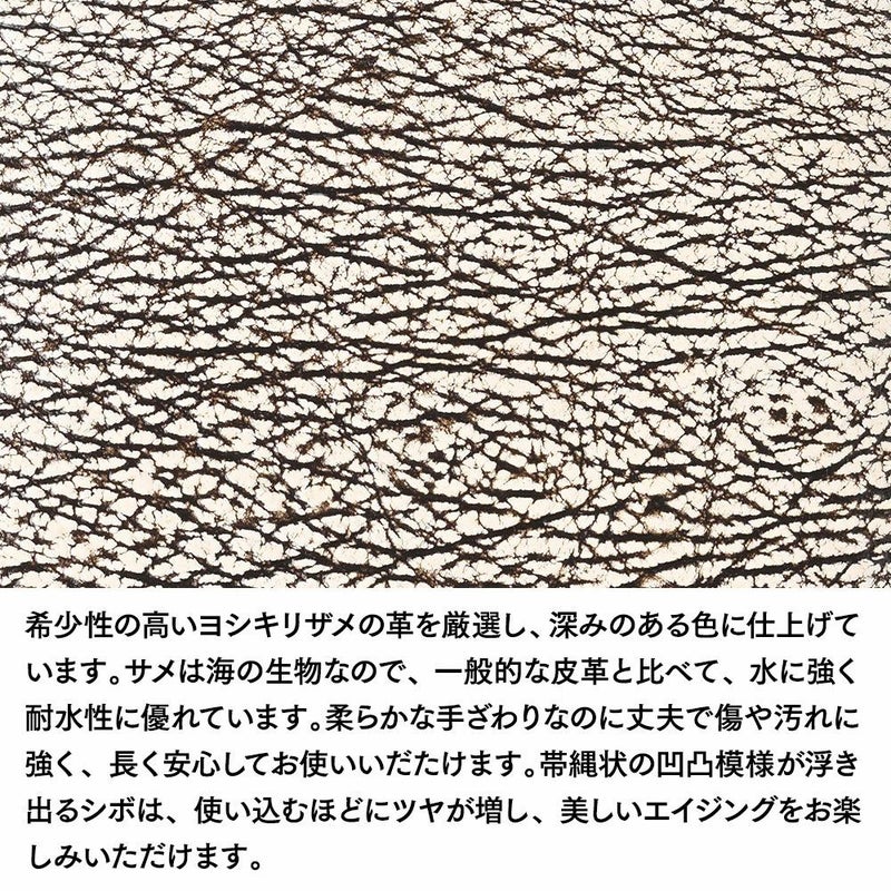 ズーの二つ折り財布 ヨシキリザメ 二つ折り財布 バニラ