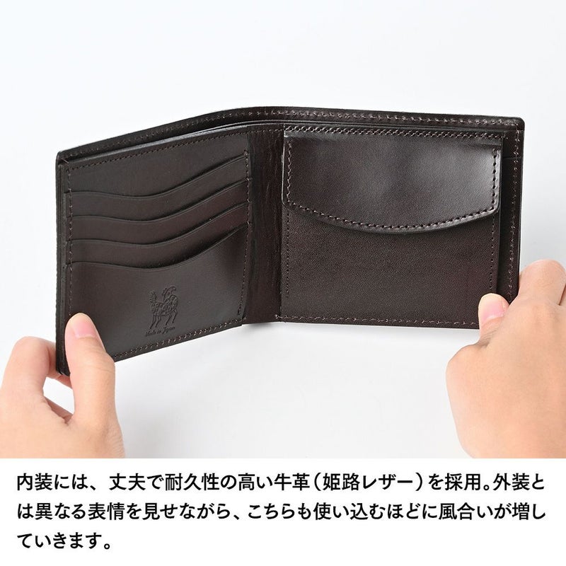 ズーの二つ折り財布 ヨシキリザメ 二つ折り財布 バニラ