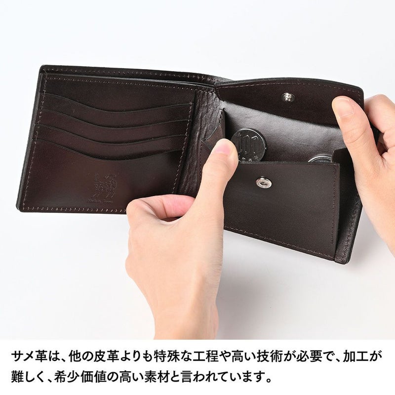 ズーの二つ折り財布 ヨシキリザメ 二つ折り財布 バニラ