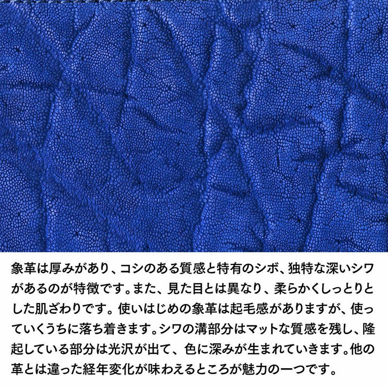 ズーのミニ財布 エレファント L字ファスナー ミディアムウォレット ロイヤルブルー