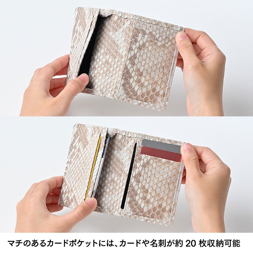ズー 名刺入れ ブリーチパイソン 名刺＆カードケース ホワイト | 帽子